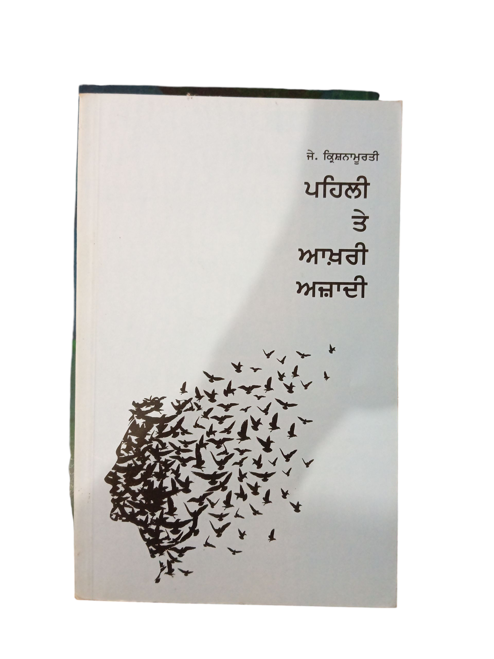 Pehli Te Akhri Aajadi By Jai Krishna Morti