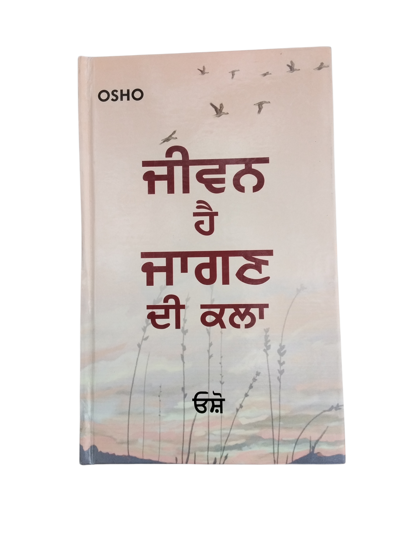 Jiwan Hae Jagan Di Kla by osho
